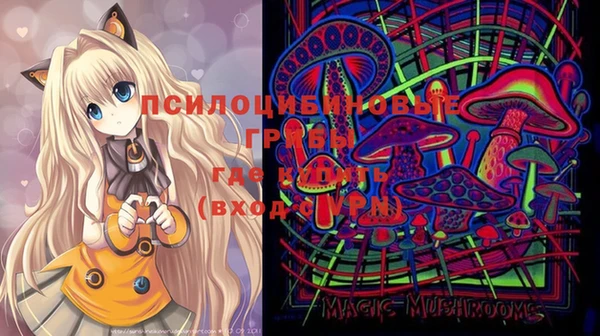 МДМА Кодинск